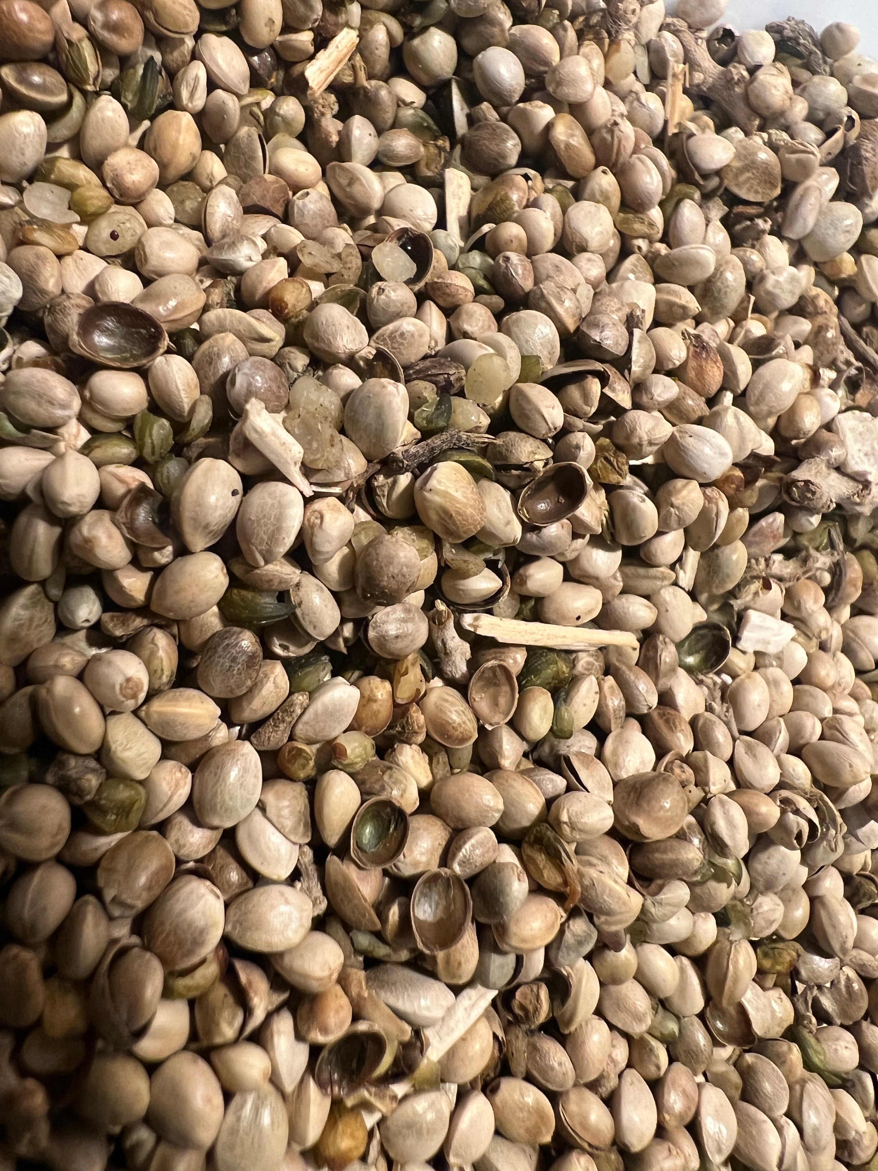 Ripkitty Premium Raw Organic Hemp Seeds Poultry Birds