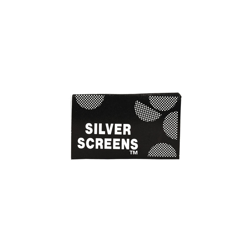 Silver/Stainless Steel Pipe Screen Filters - 5CT