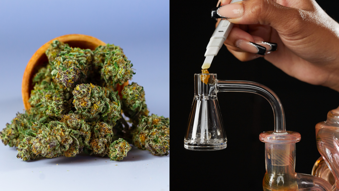 Concentrates vs. Flower: What's the Difference?