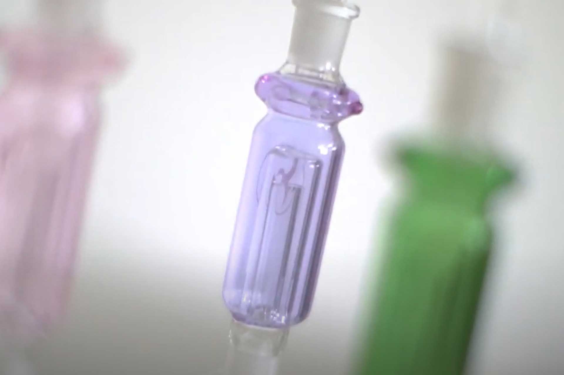 Nectar Collector Wildbird Kit