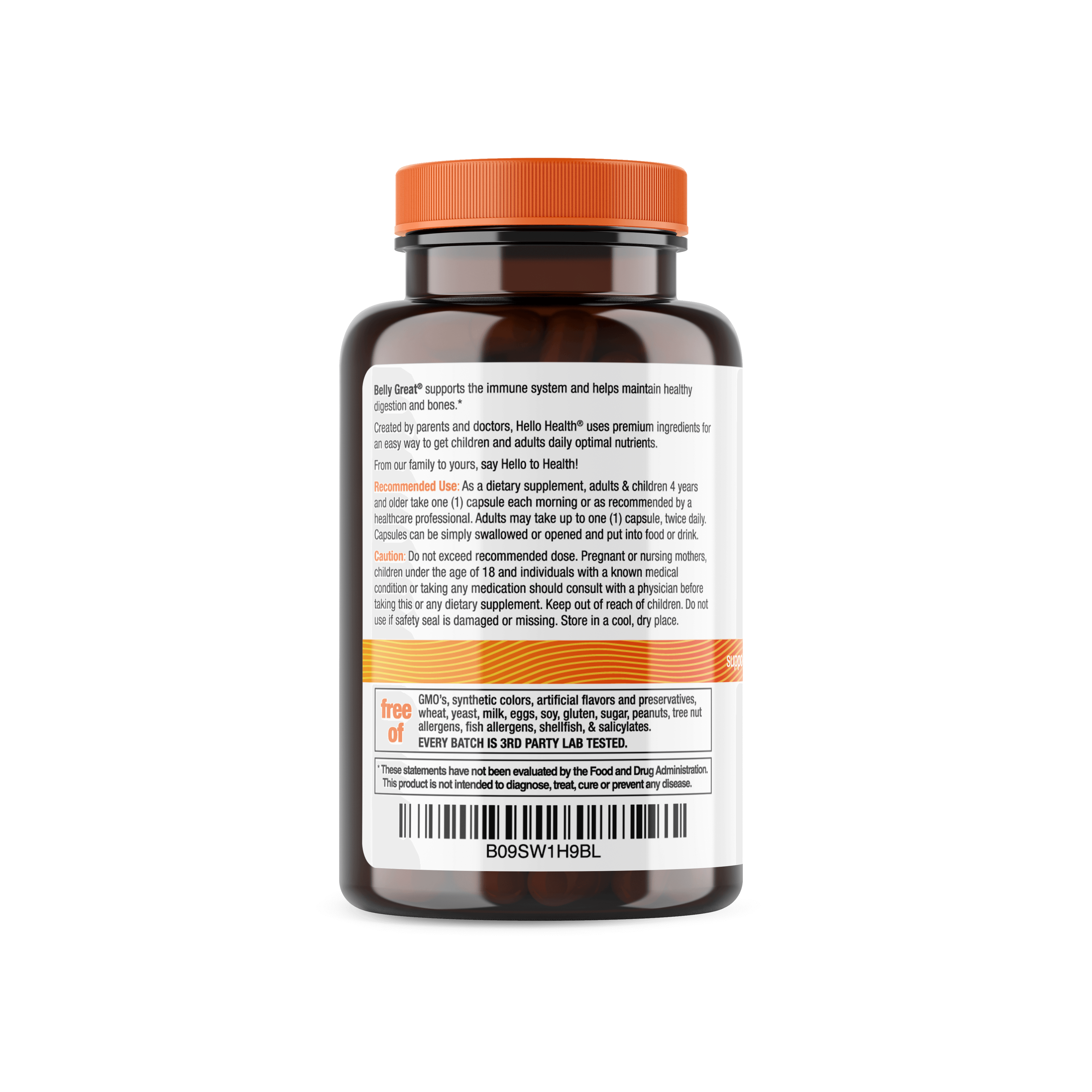 Belly Great - Pre/Probiotics + Mood