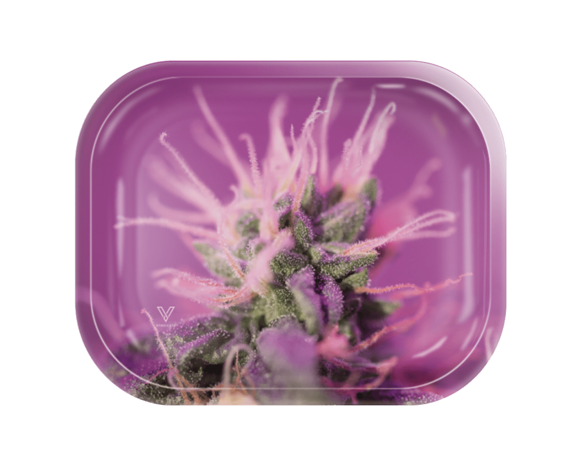 Pink Lemonade Metal Rollin' Tray