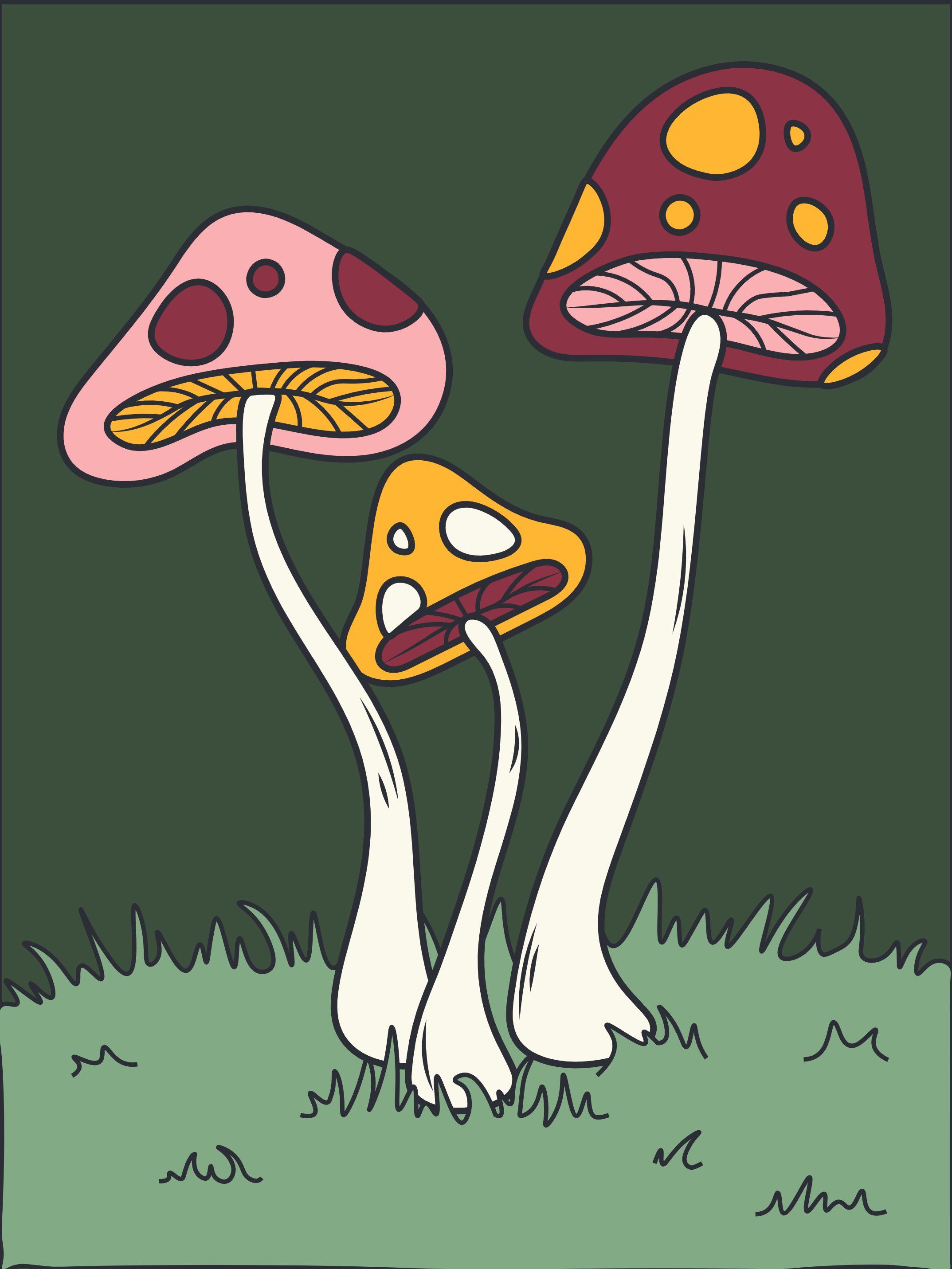 Dime Bags Velcro Label - SHROOMS