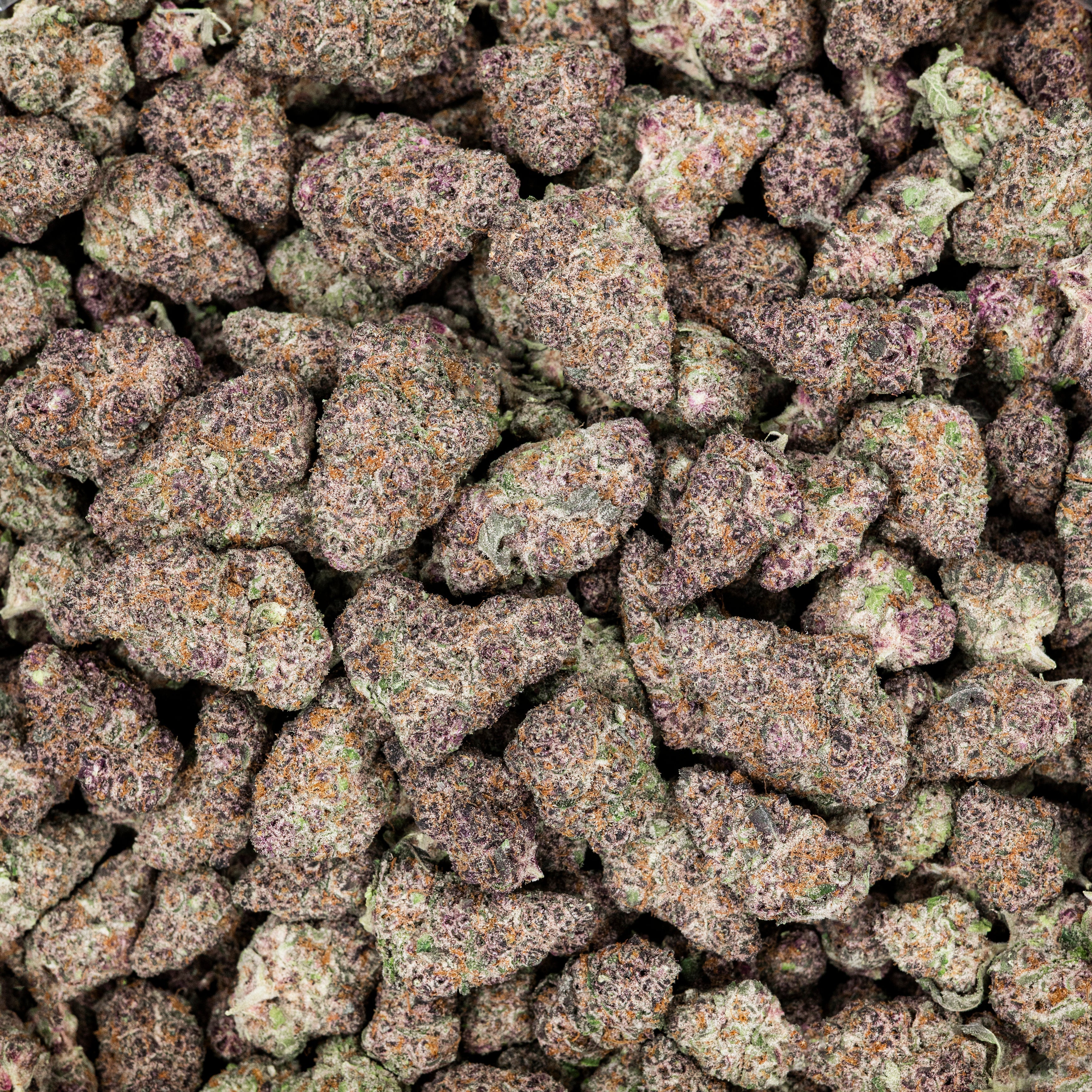 Revelry Cherry Sunrise THCA Flower (AAA Indoor)