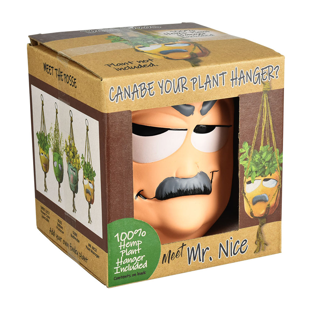 Thread Heads Hanging Flower Pots