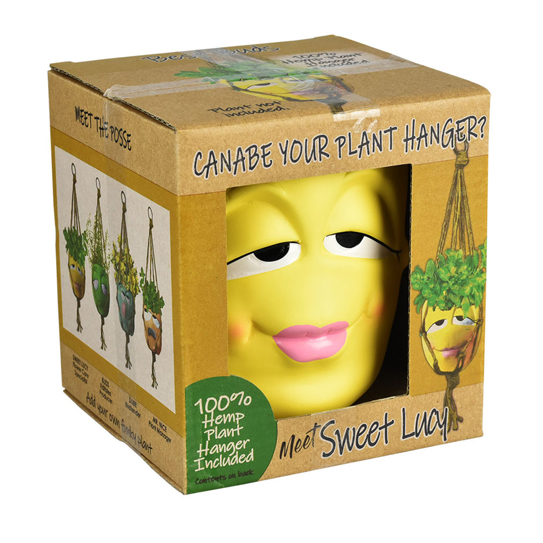 Thread Heads Hanging Flower Pots