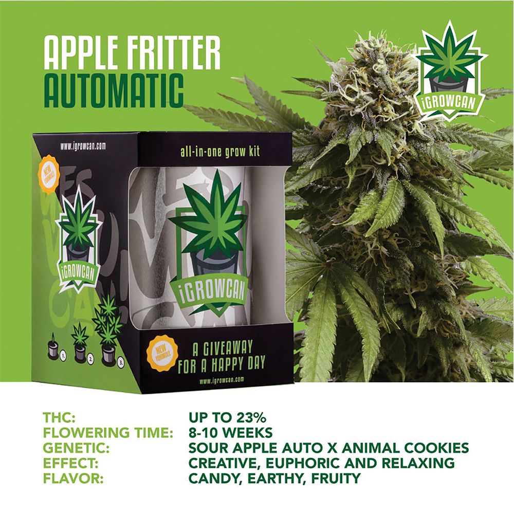 Royal Queen Seeds iGrowCan All-In-One Hemp Grow Kit