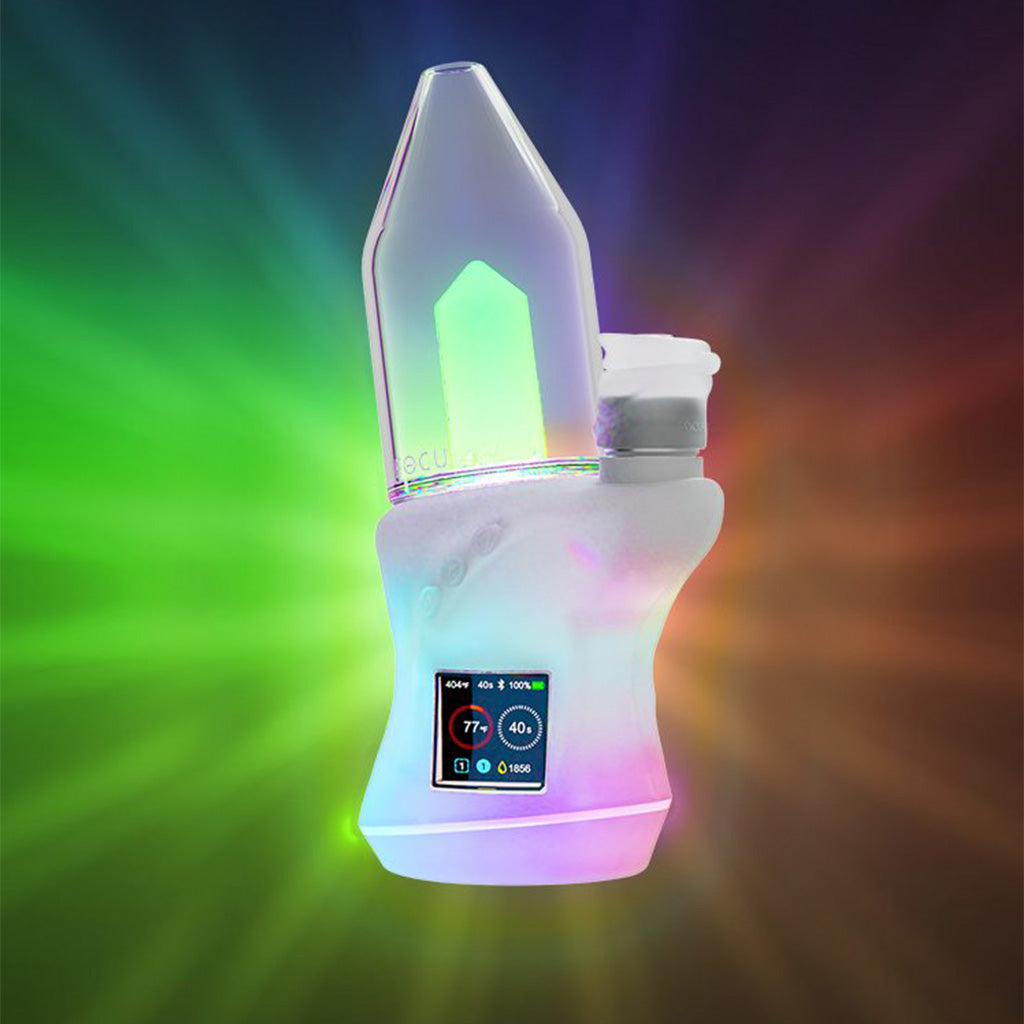 Focus V ­Carta 2 Special Edition