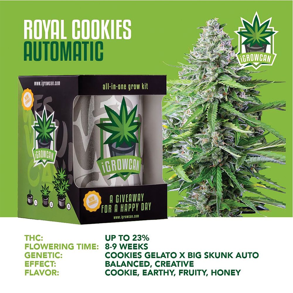 Royal Queen Seeds iGrowCan All-In-One Hemp Grow Kit