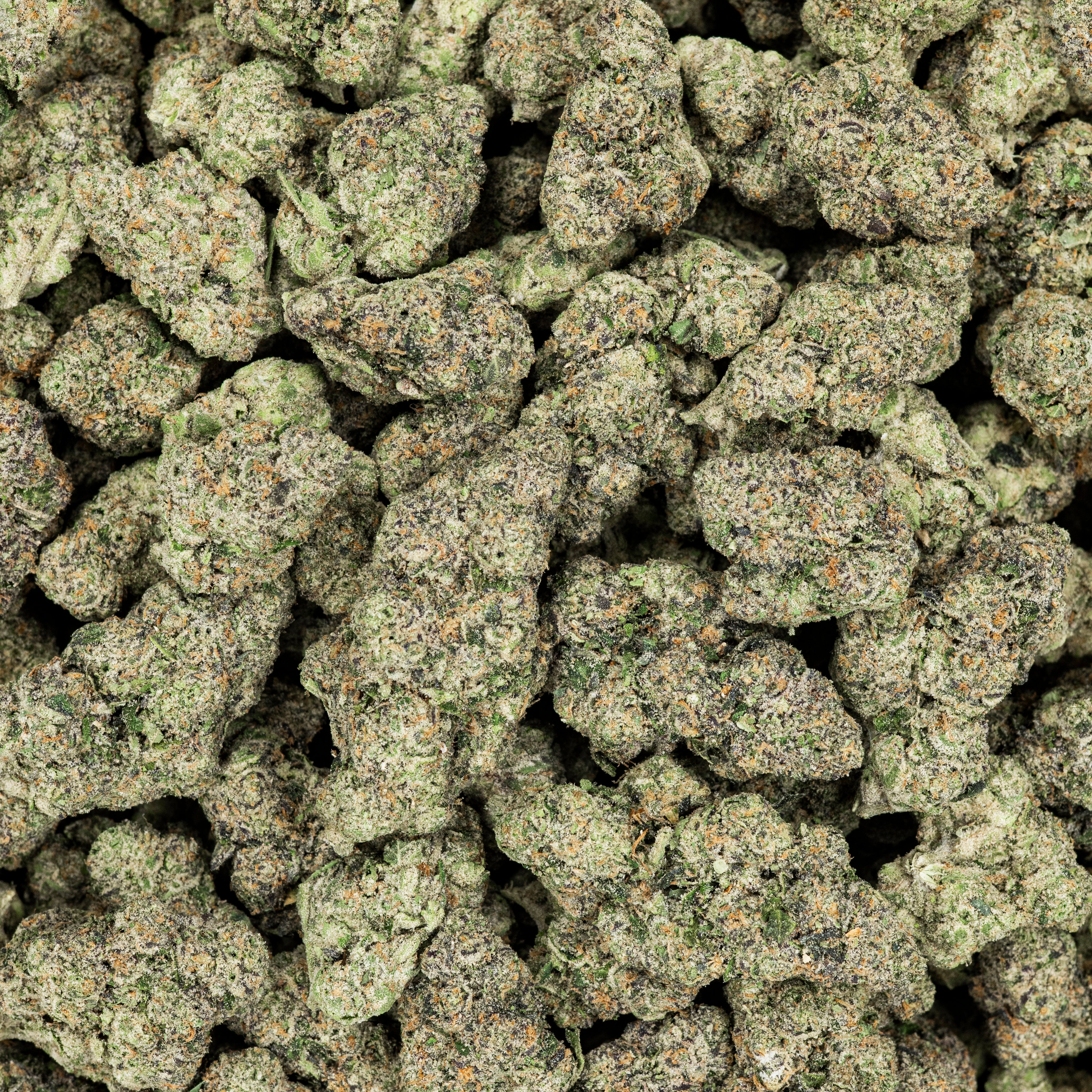 Revelry Pink Guava THCA Flower (AAA Indoor)