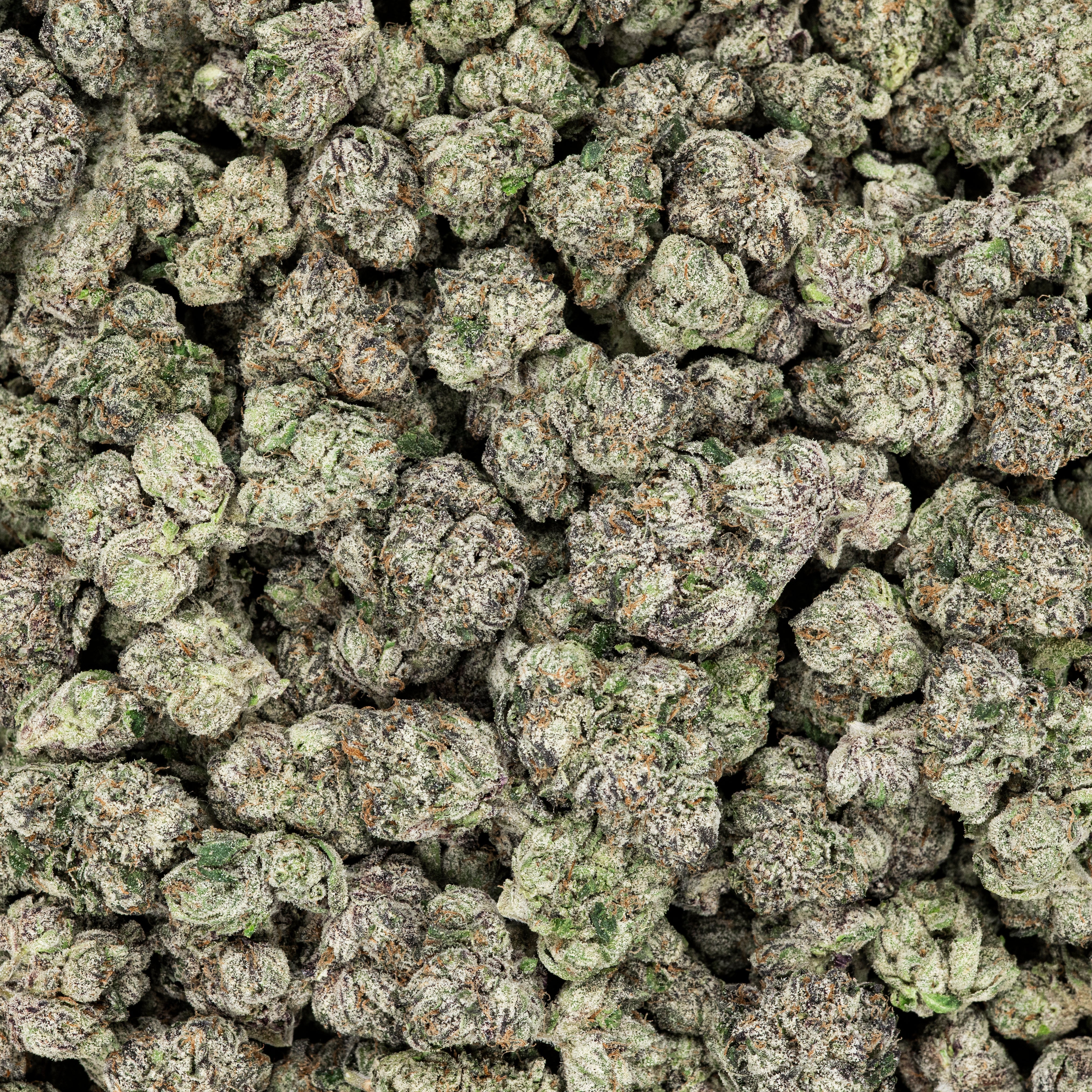 Revelry Frosted Runtz THCA Flower (AAA Indoor)