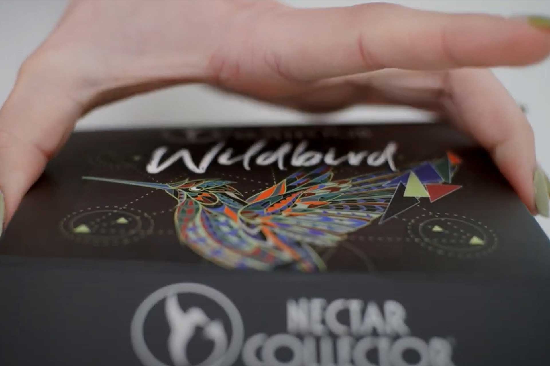 Nectar Collector Wildbird Kit
