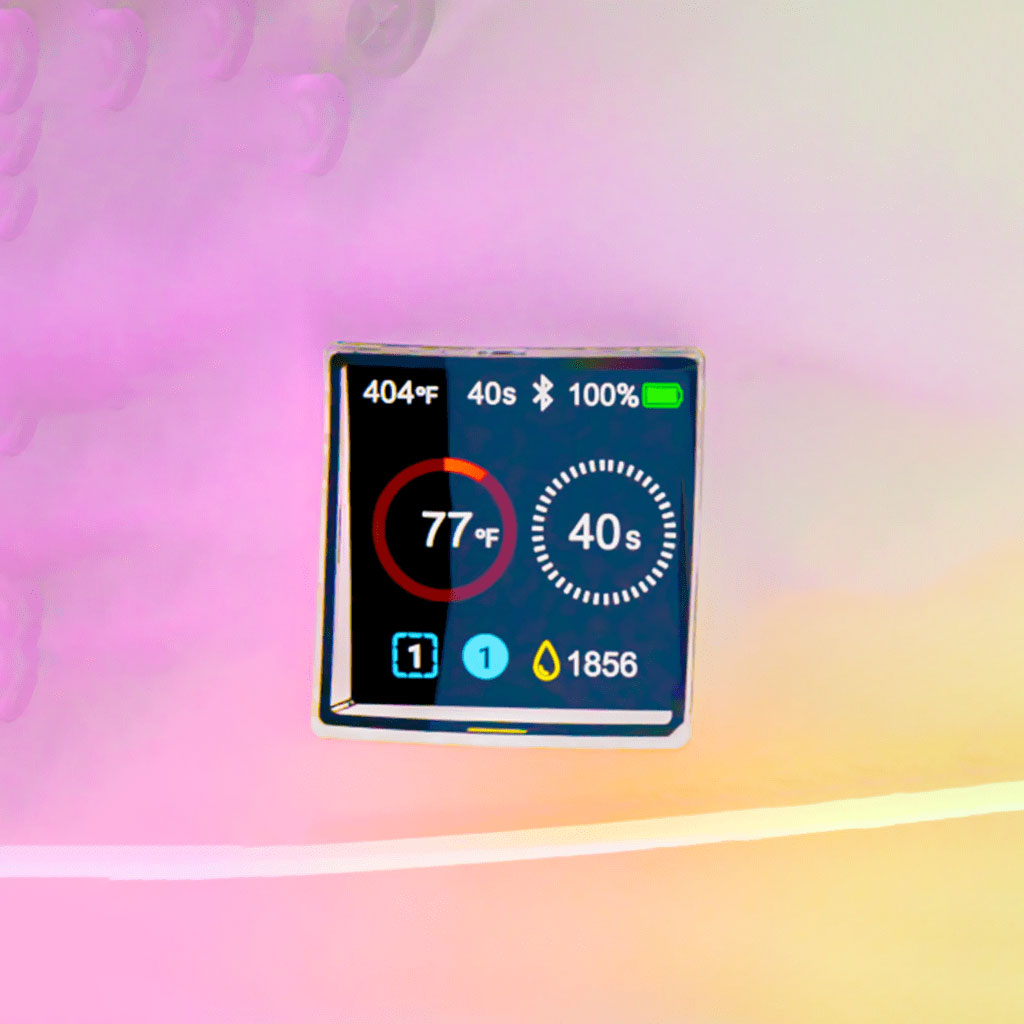 Focus V ­Carta 2 Special Edition