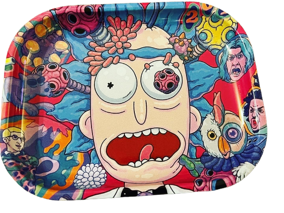 Decorative Collectible Humor 7.25 x 5.75 Car Home Metal Tin Ashtray with Various Designs